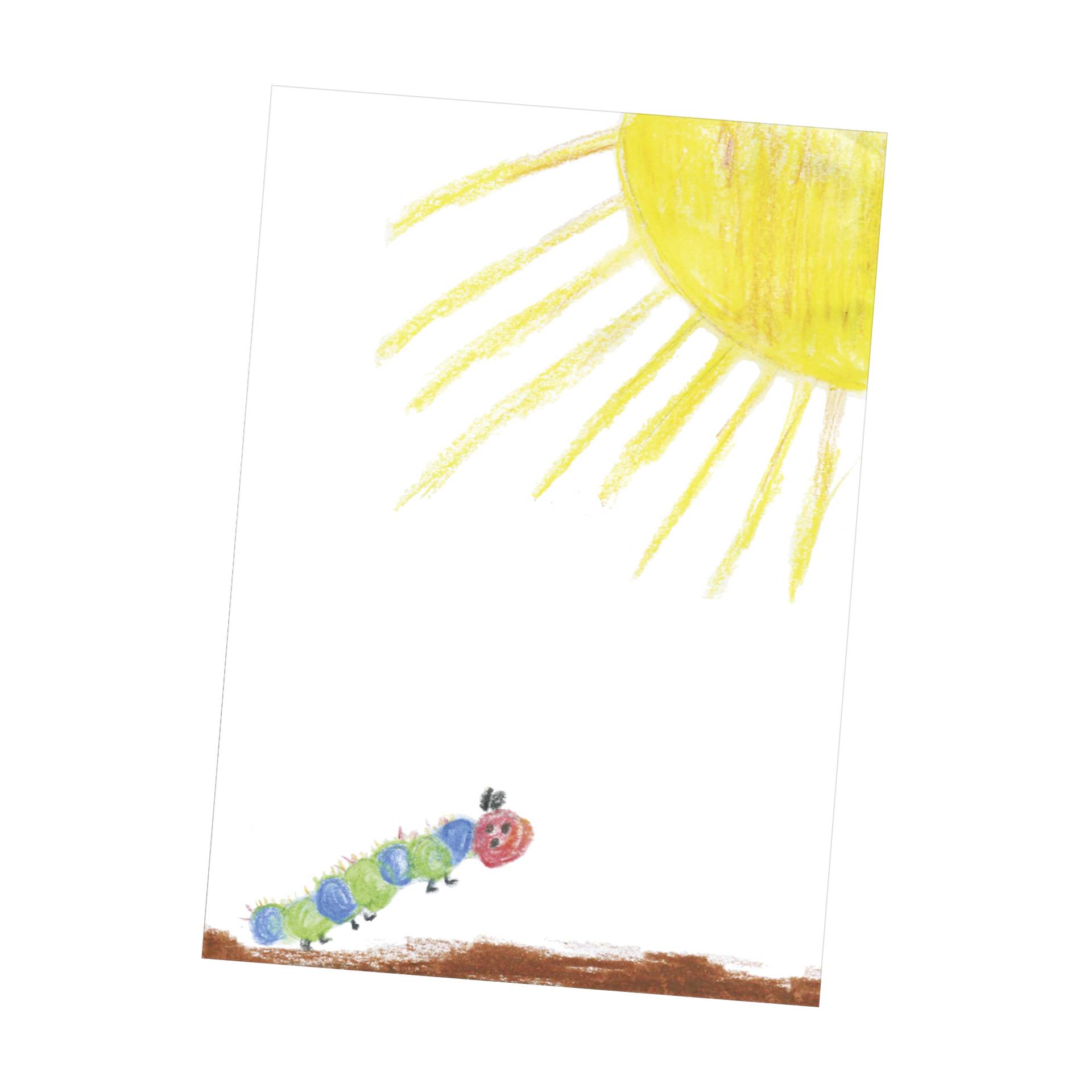 1x10 Daiber Flügelmappen Raupe  für max.Bildformat 18x25cm 13411