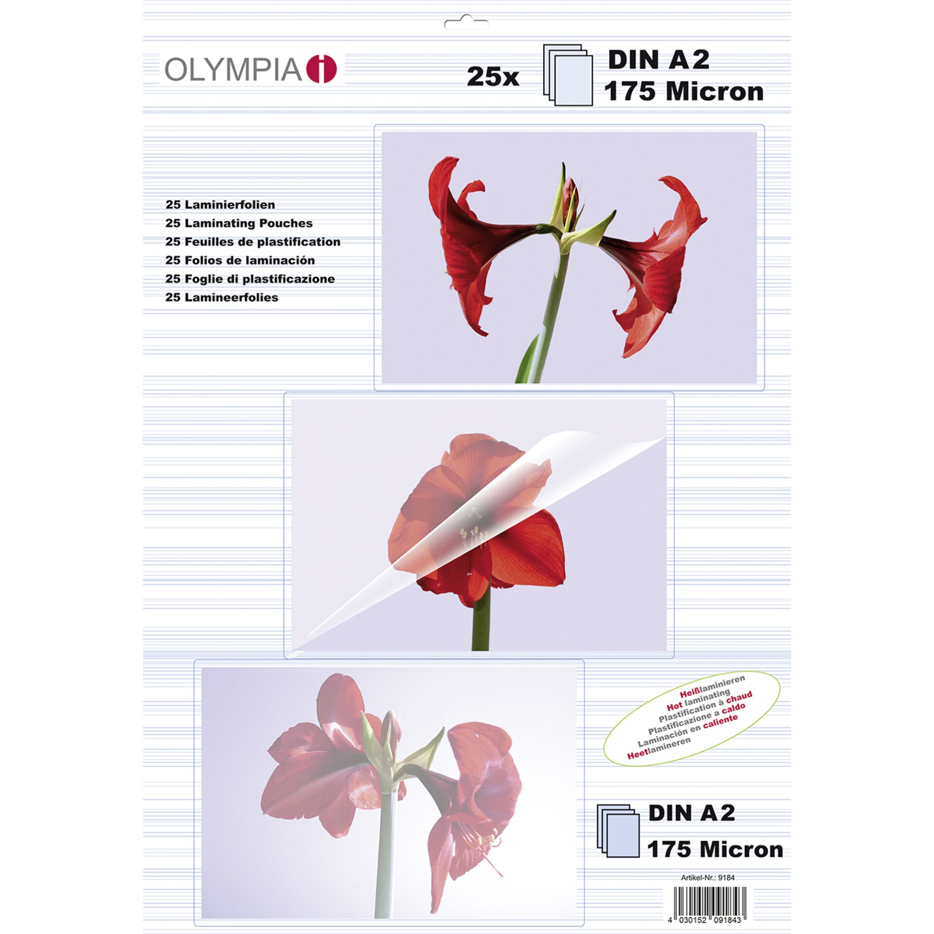 Blume, Pflanze, Blütenblatt, Ein anderes, Amaryllis