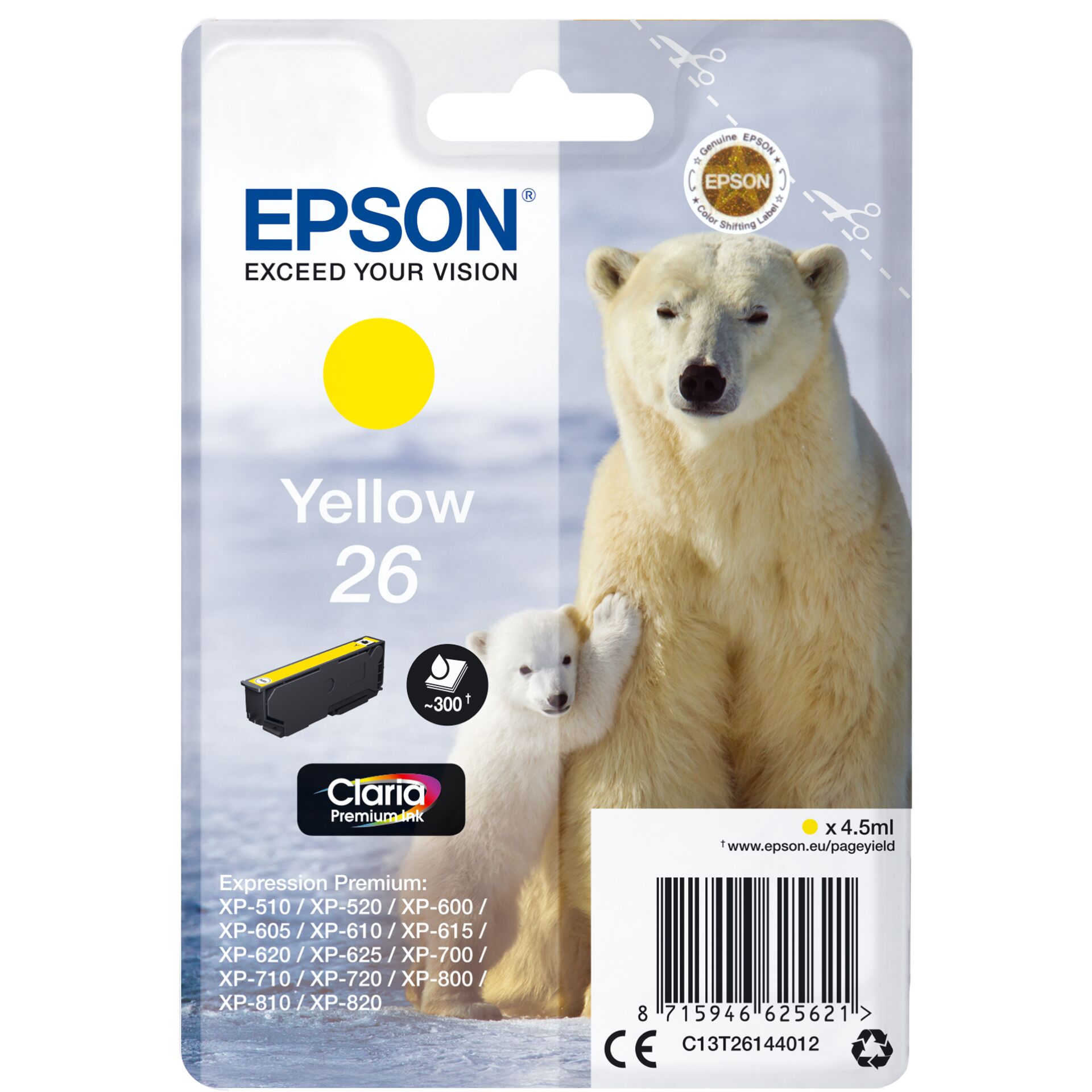 Tier, Bär, Säugetier, Tierwelt, Eisbär