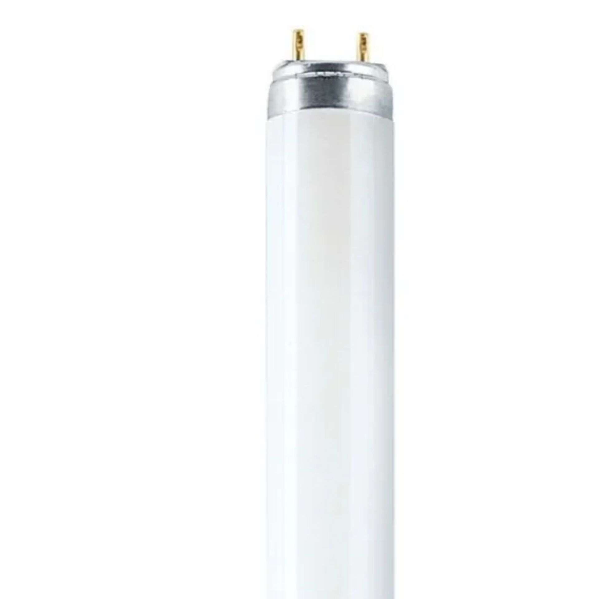 LED, Röhre, Weiß, Zylinder, Licht