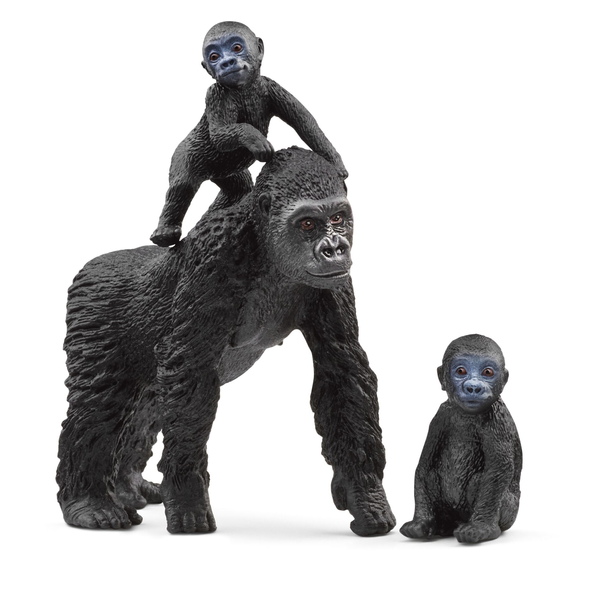 Tier, Affe, Säugetier, Tierwelt