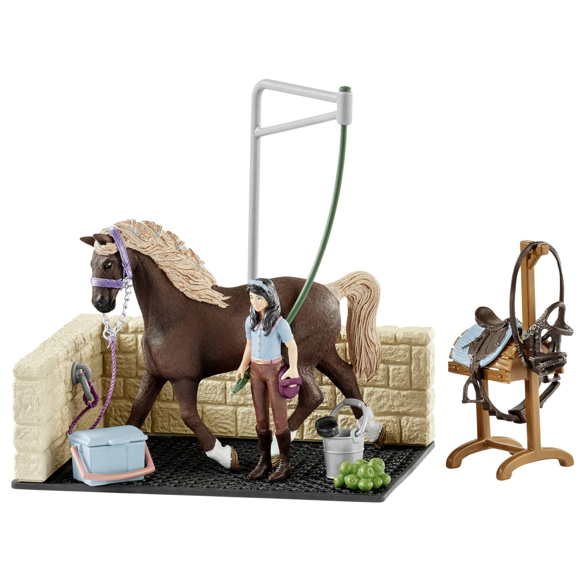 Person, Tier, Pferd, Säugetier