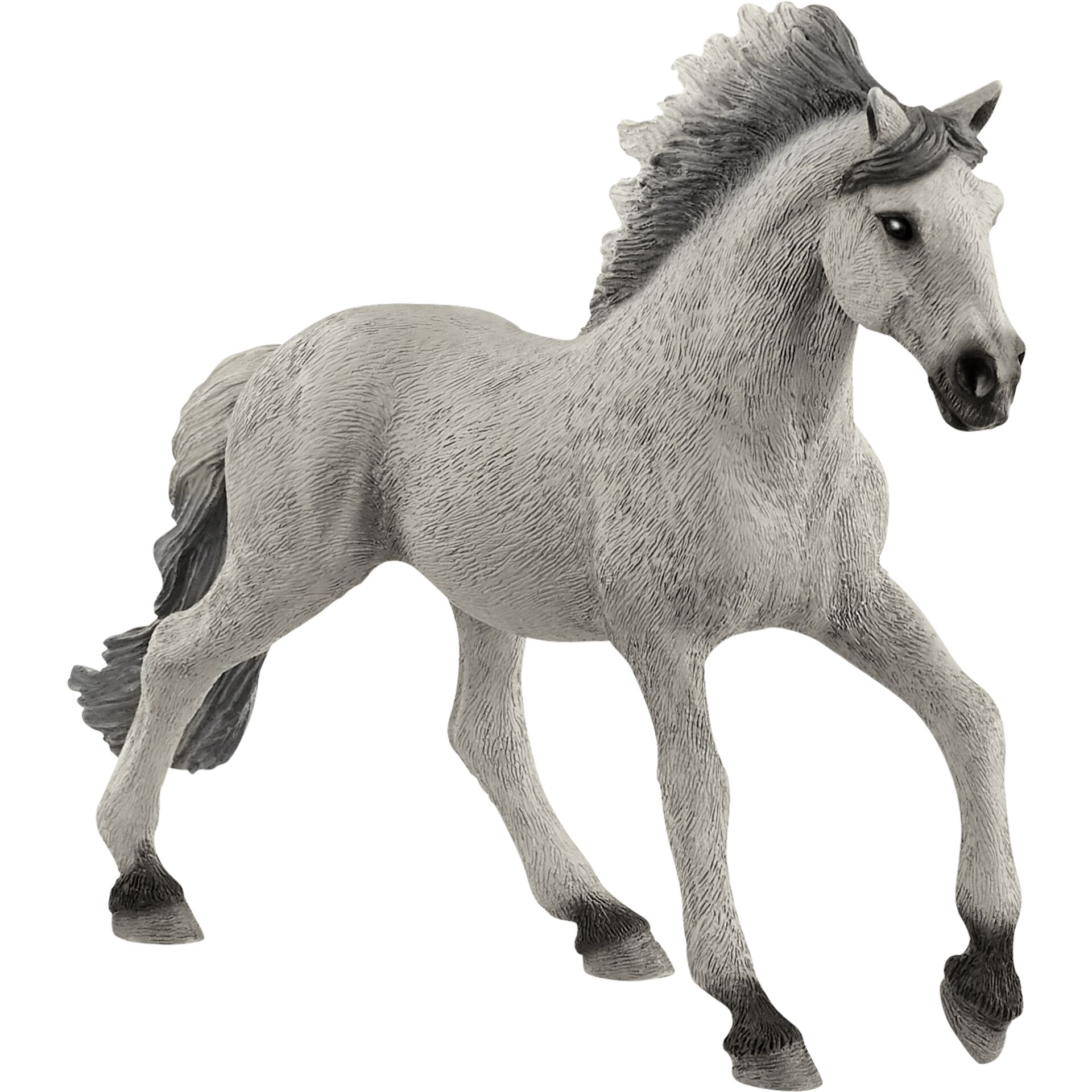 Tier, Pferd, Säugetier, Colt Horse