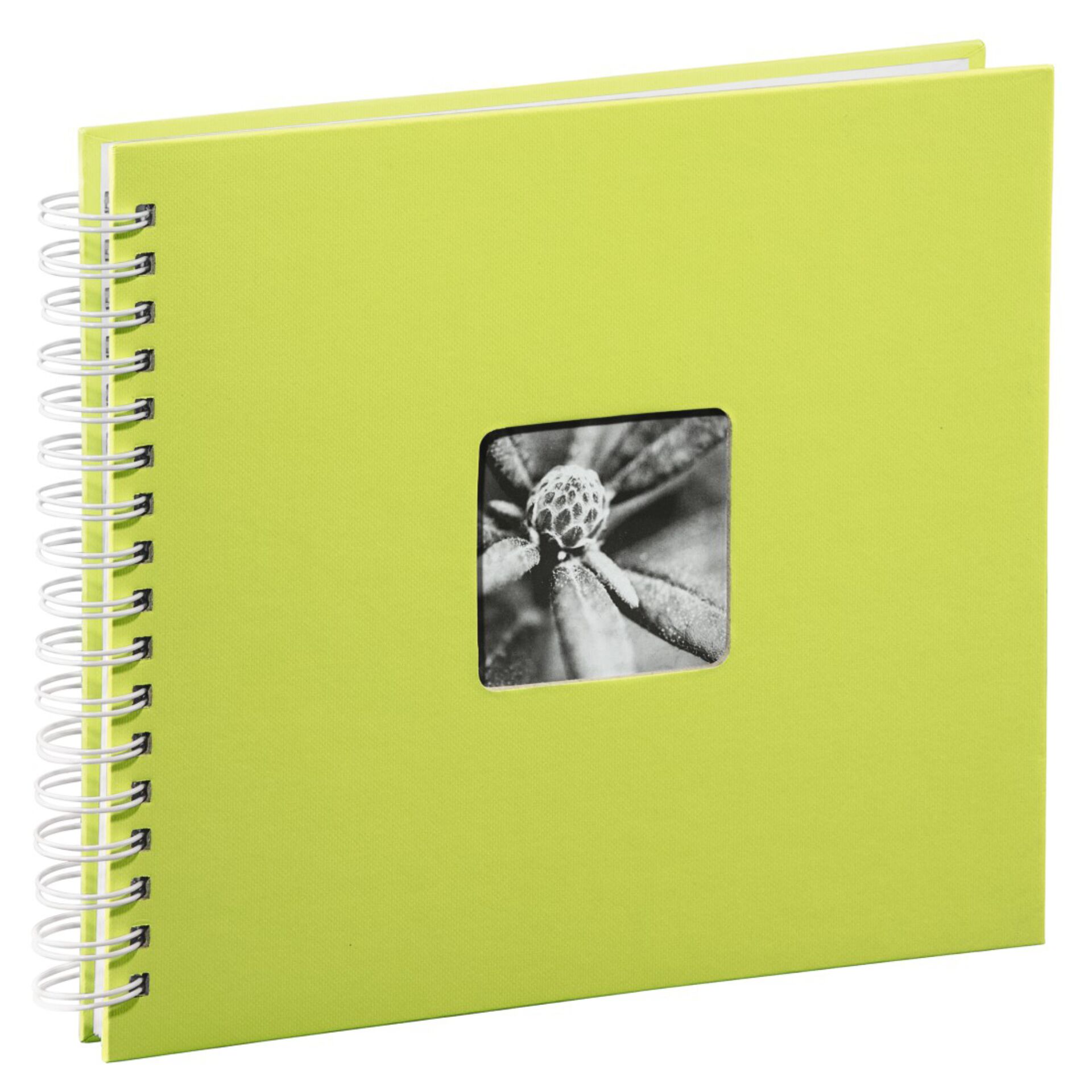 Tagebuch, Seite, Text