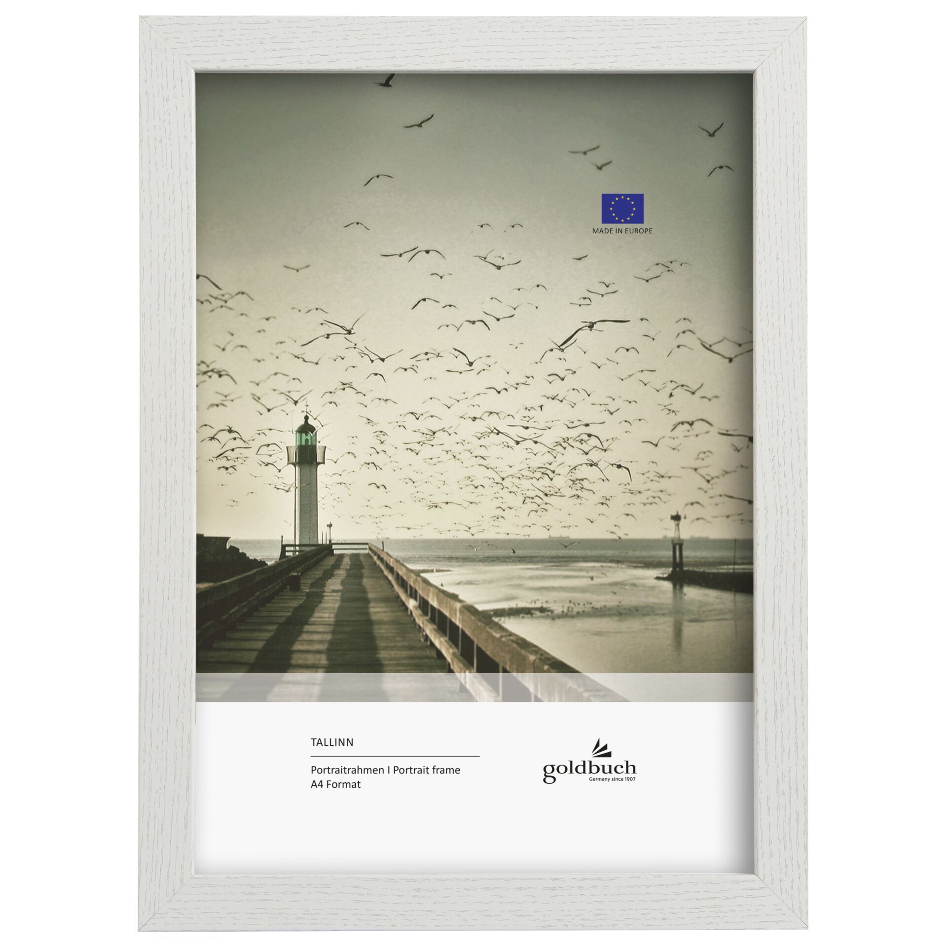 Wasser, Uferpromenade, Seebrücke, Promenade, Vogel