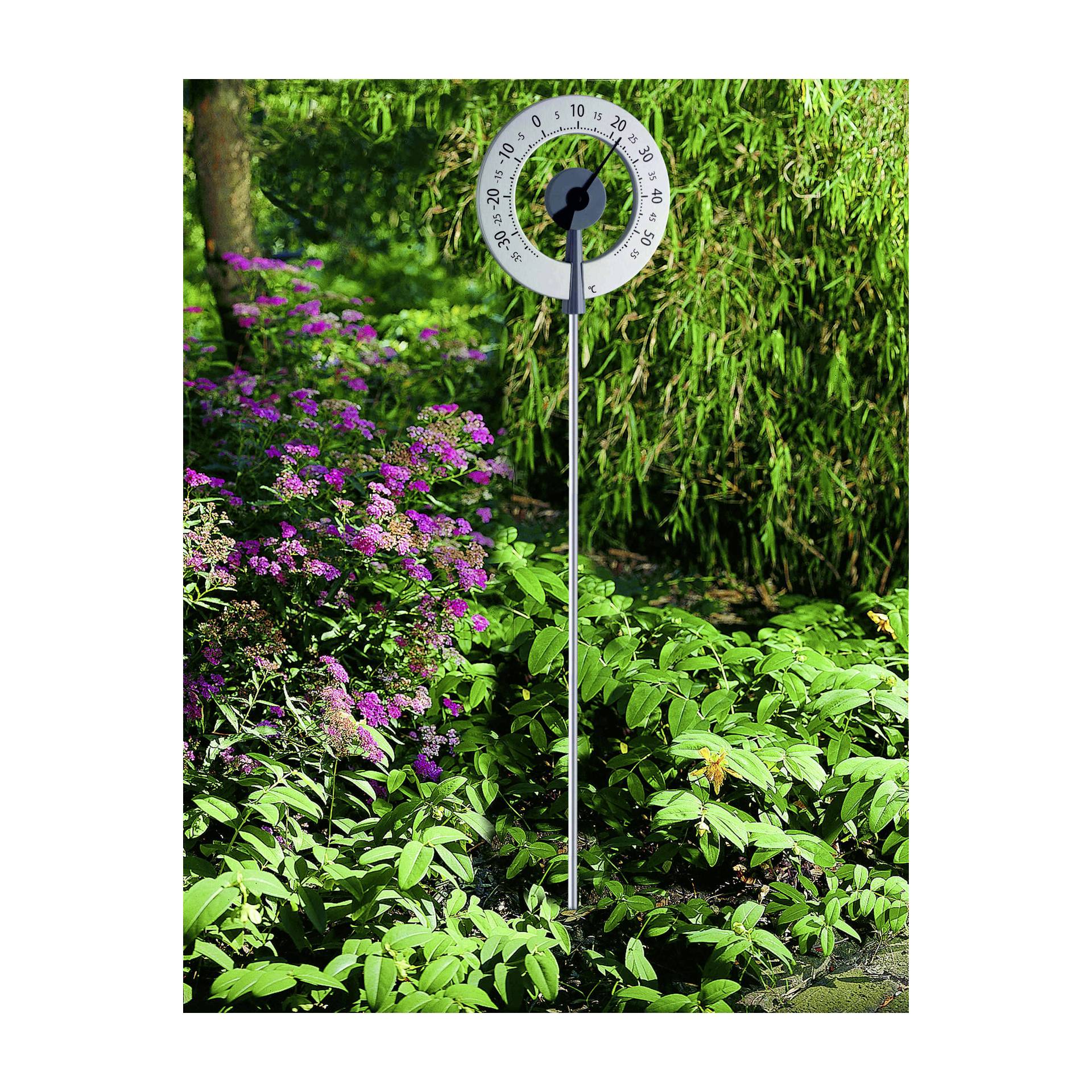 Garten, Natur, Draußen, Blume, Pflanze