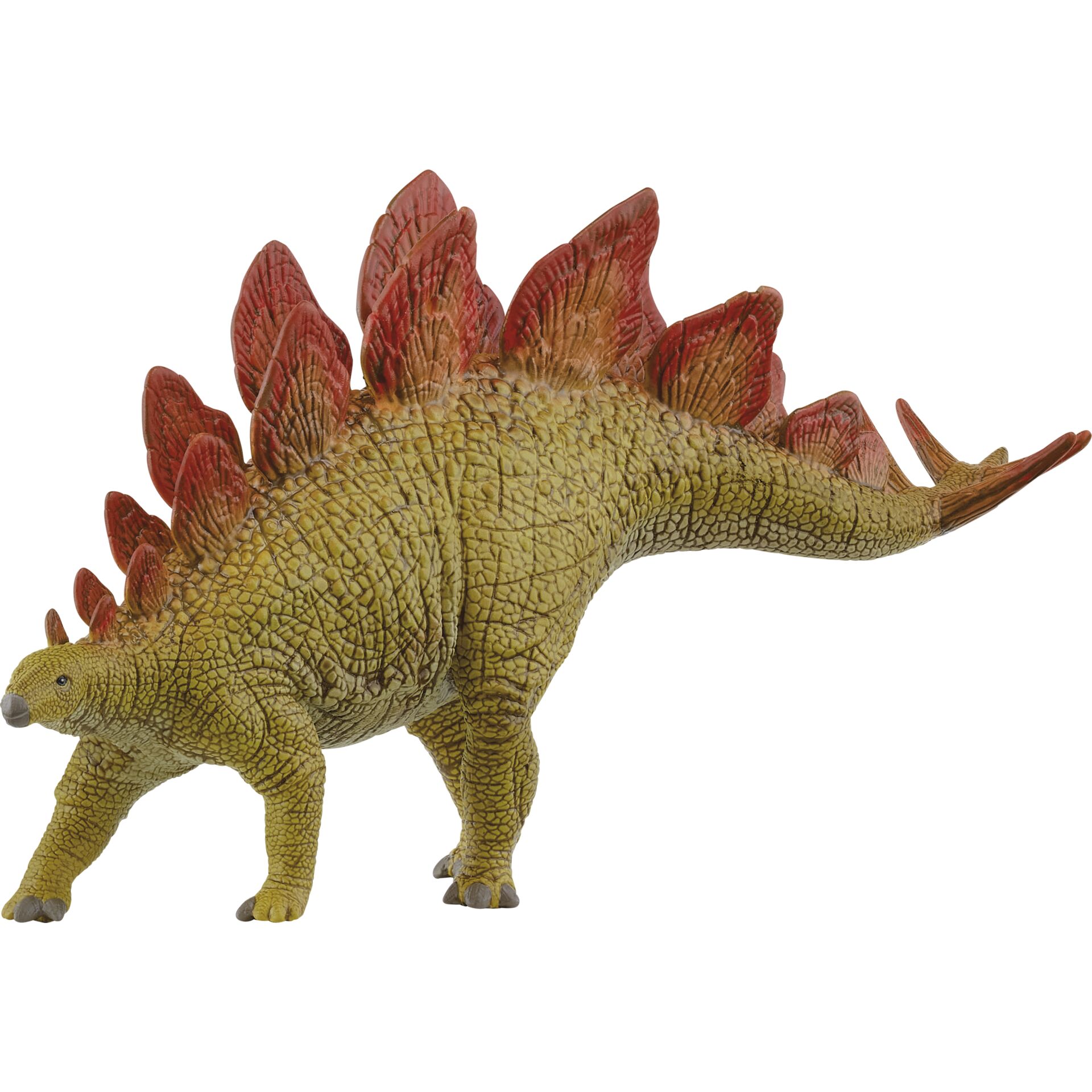Tier, Dinosaurier, Reptil