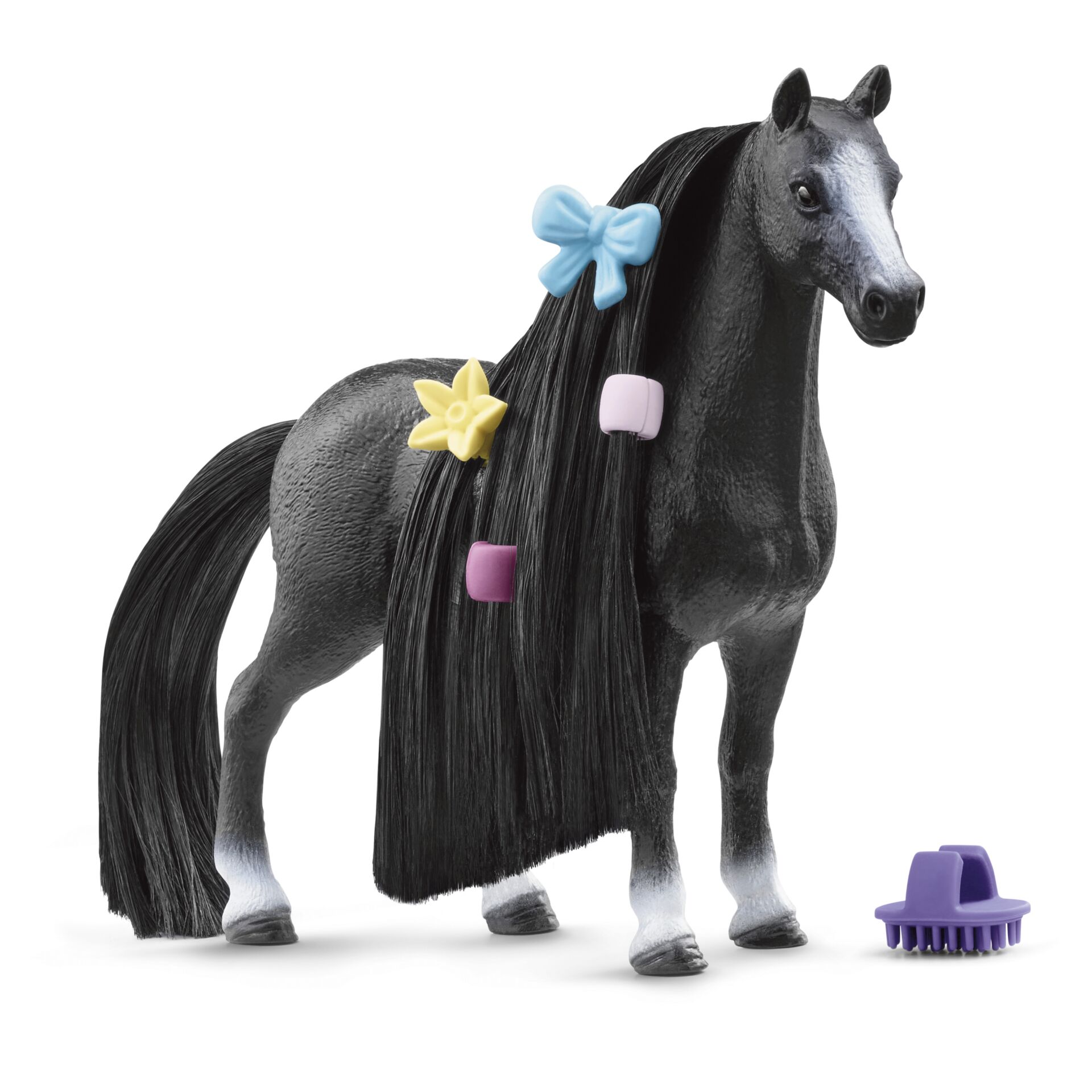 Andalusisches Pferd, Tier, Pferd, Säugetier