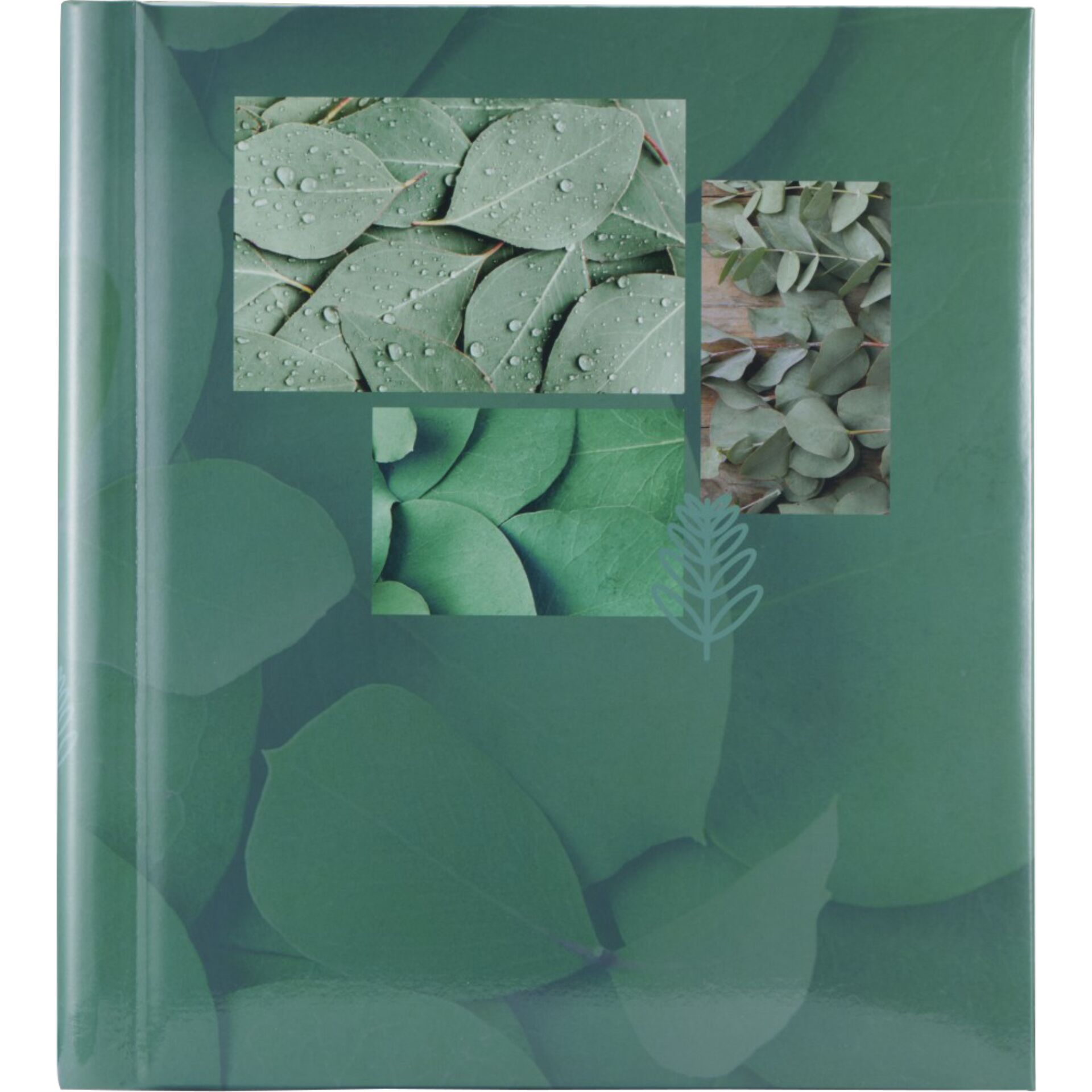 Blatt, Pflanze, Kunst, Collage, Papier