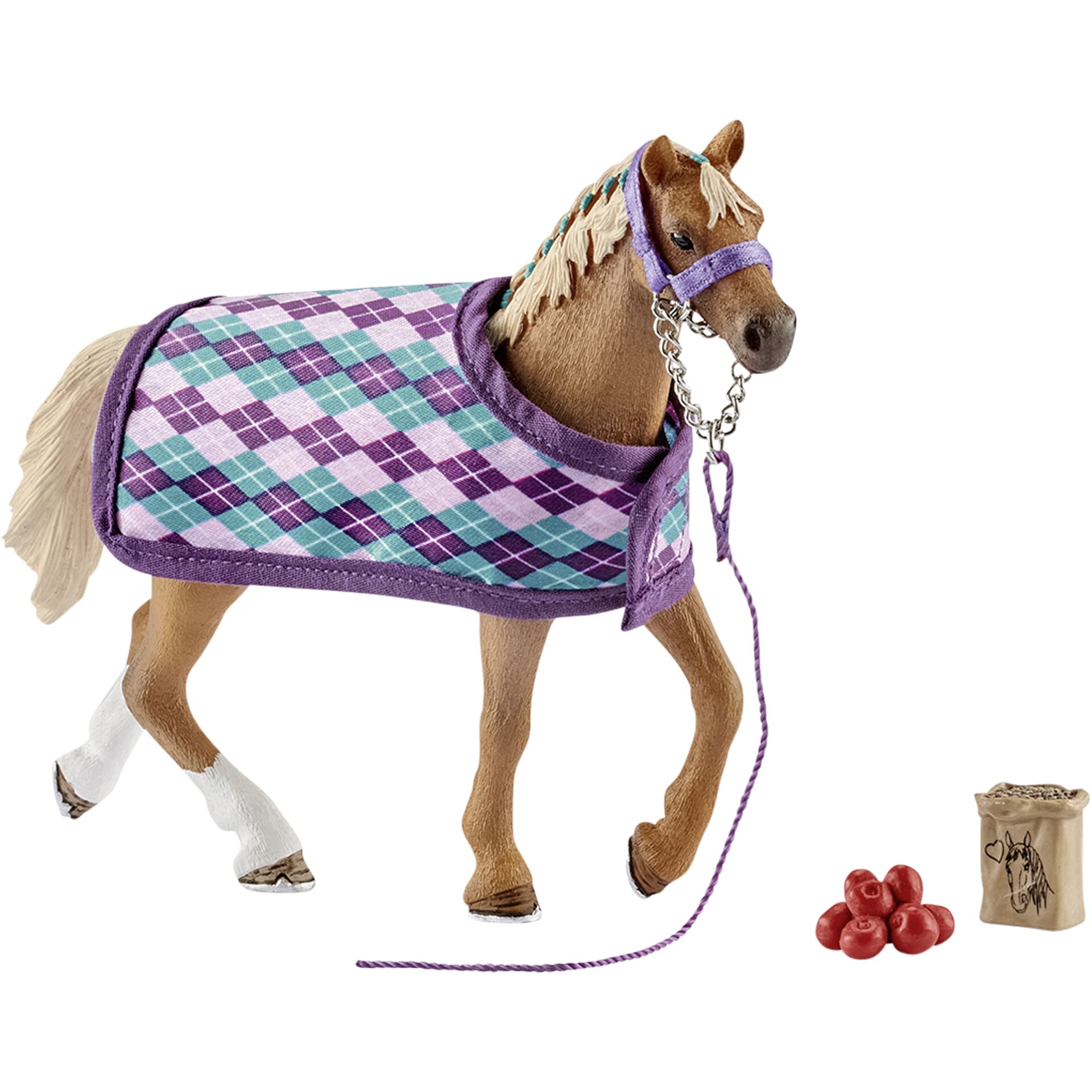 Tier, Pferd, Säugetier