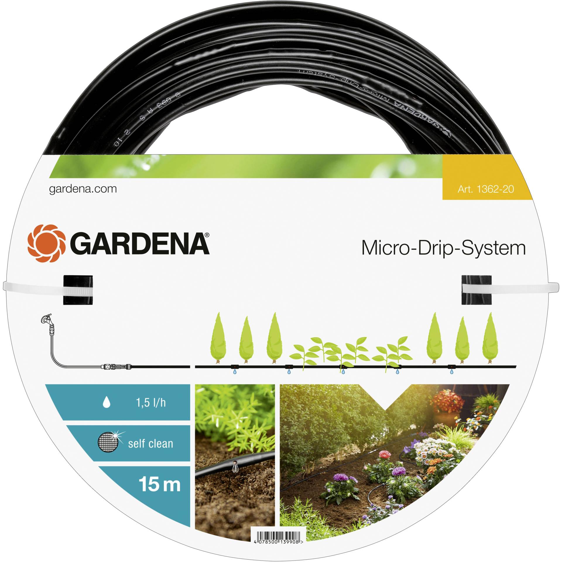 Garten, Natur, Draußen, Fotografie