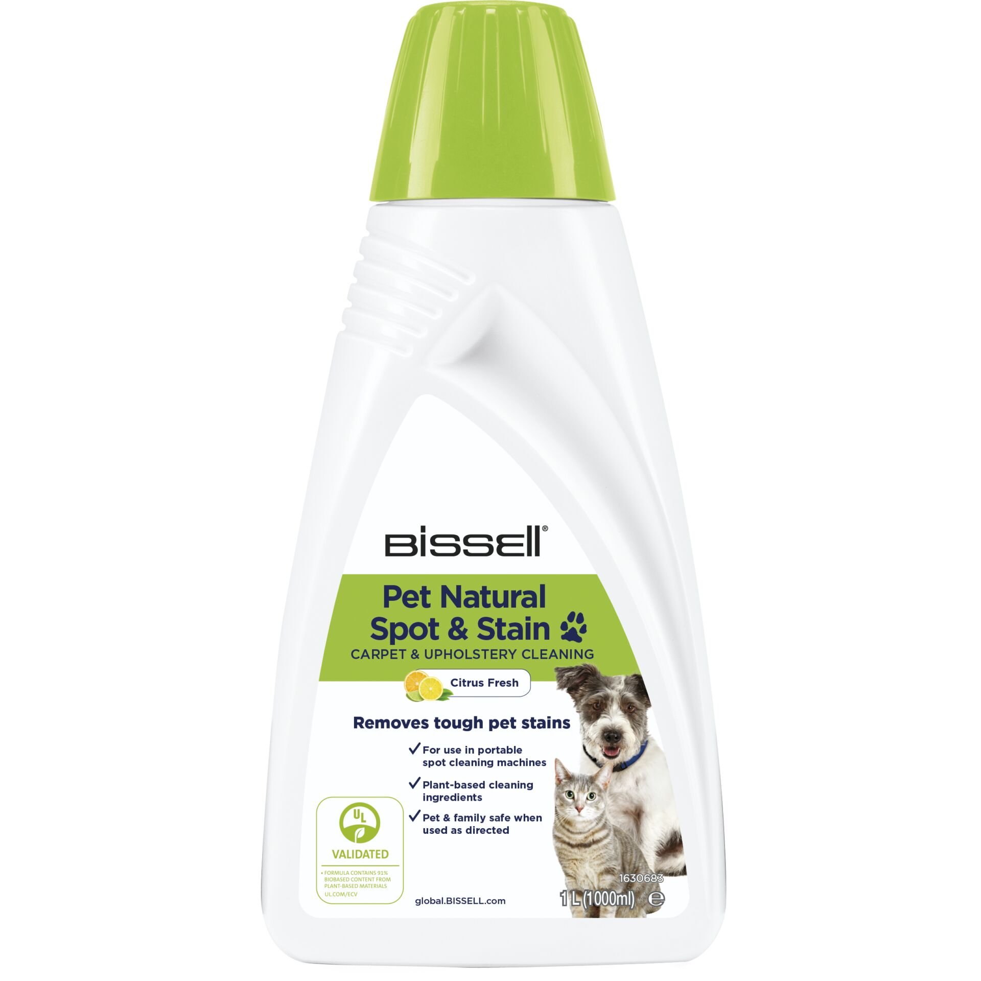 Flasche, Kräuterig, Pflanze, Katze, Haustier