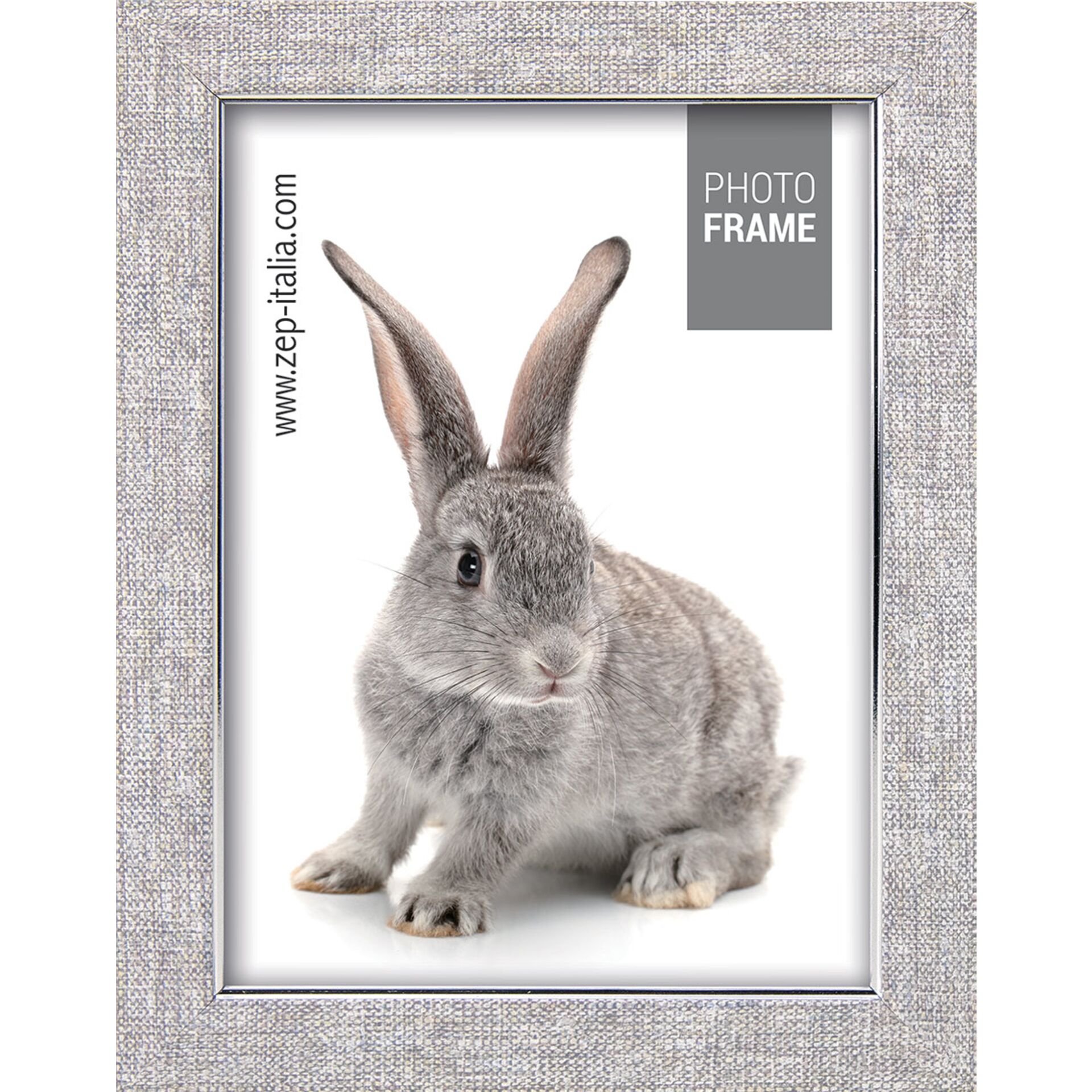 Tier, Säugetier, Ratte, Nagetier, Hase