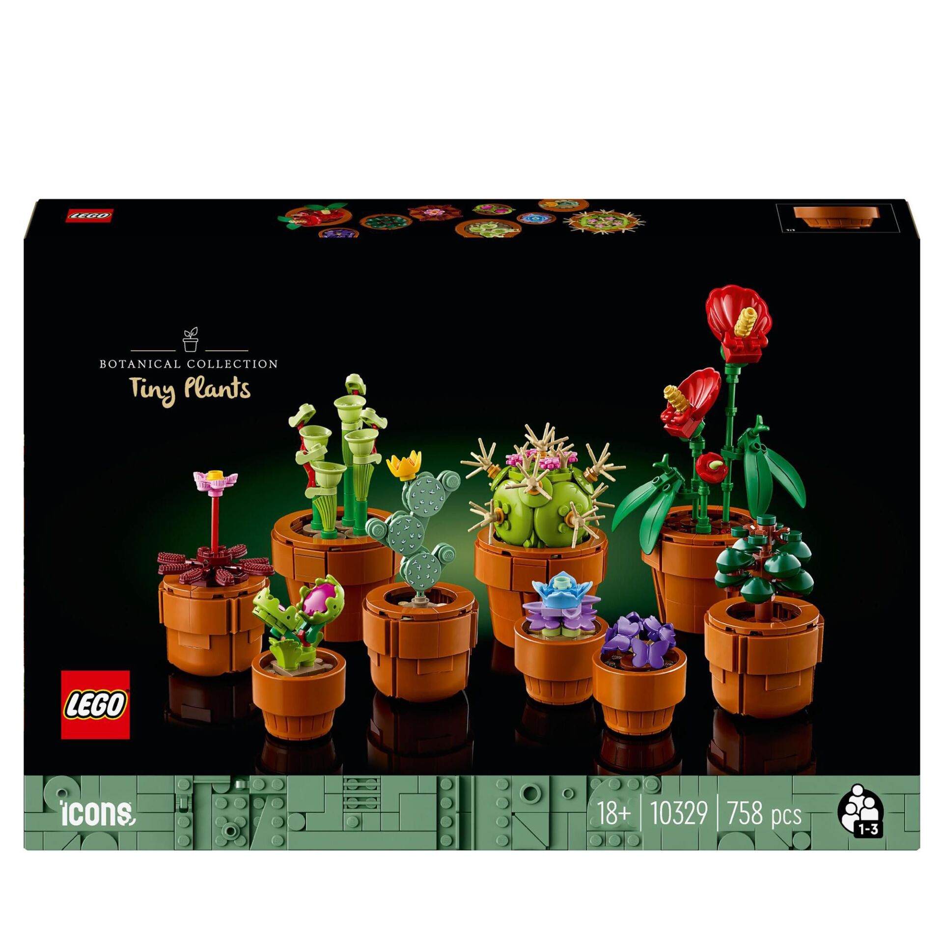 Pflanze, Pflanze im Topf, Blume, Blumen-Arrangement, Topf