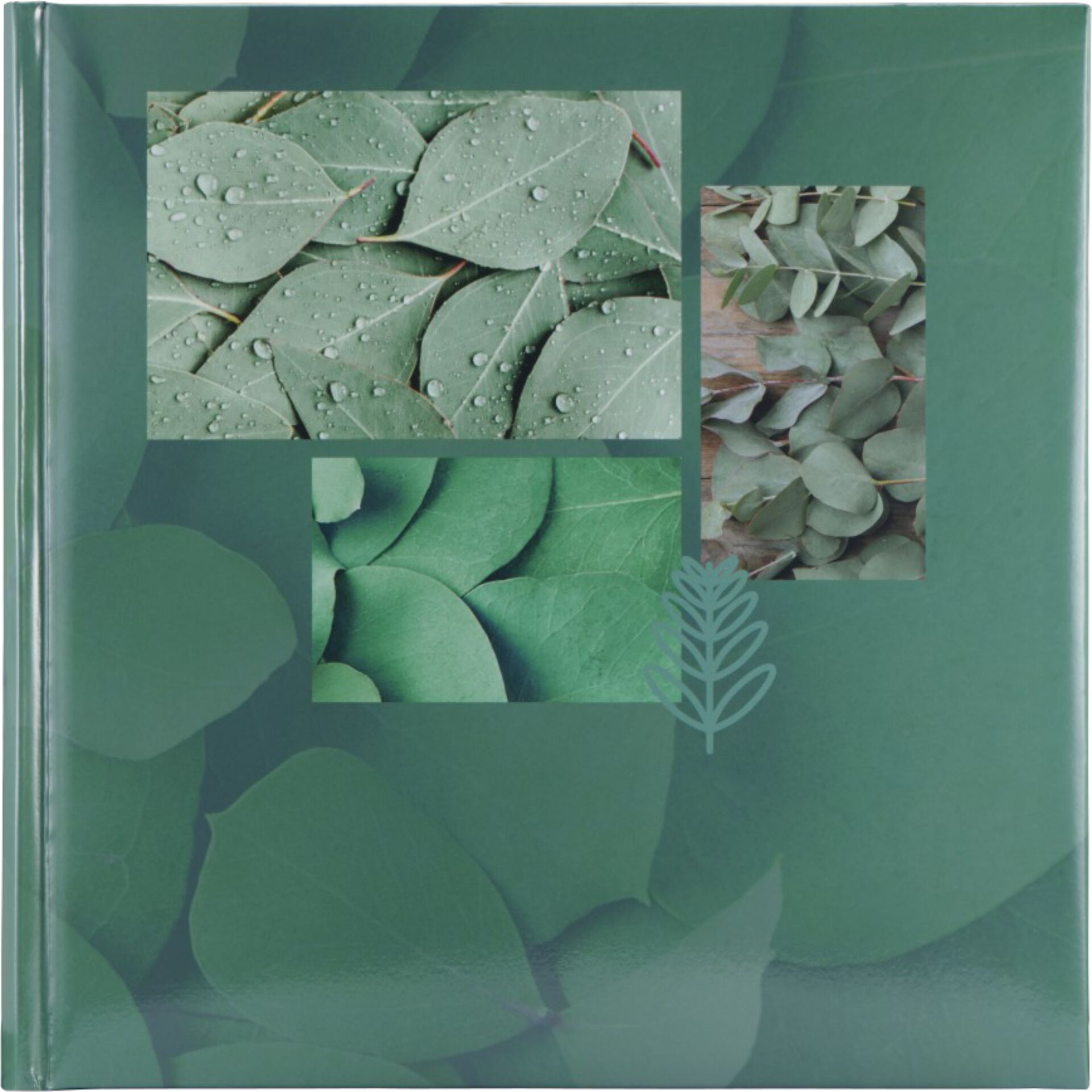 Blatt, Pflanze, Collage, Kräuterig, Papier