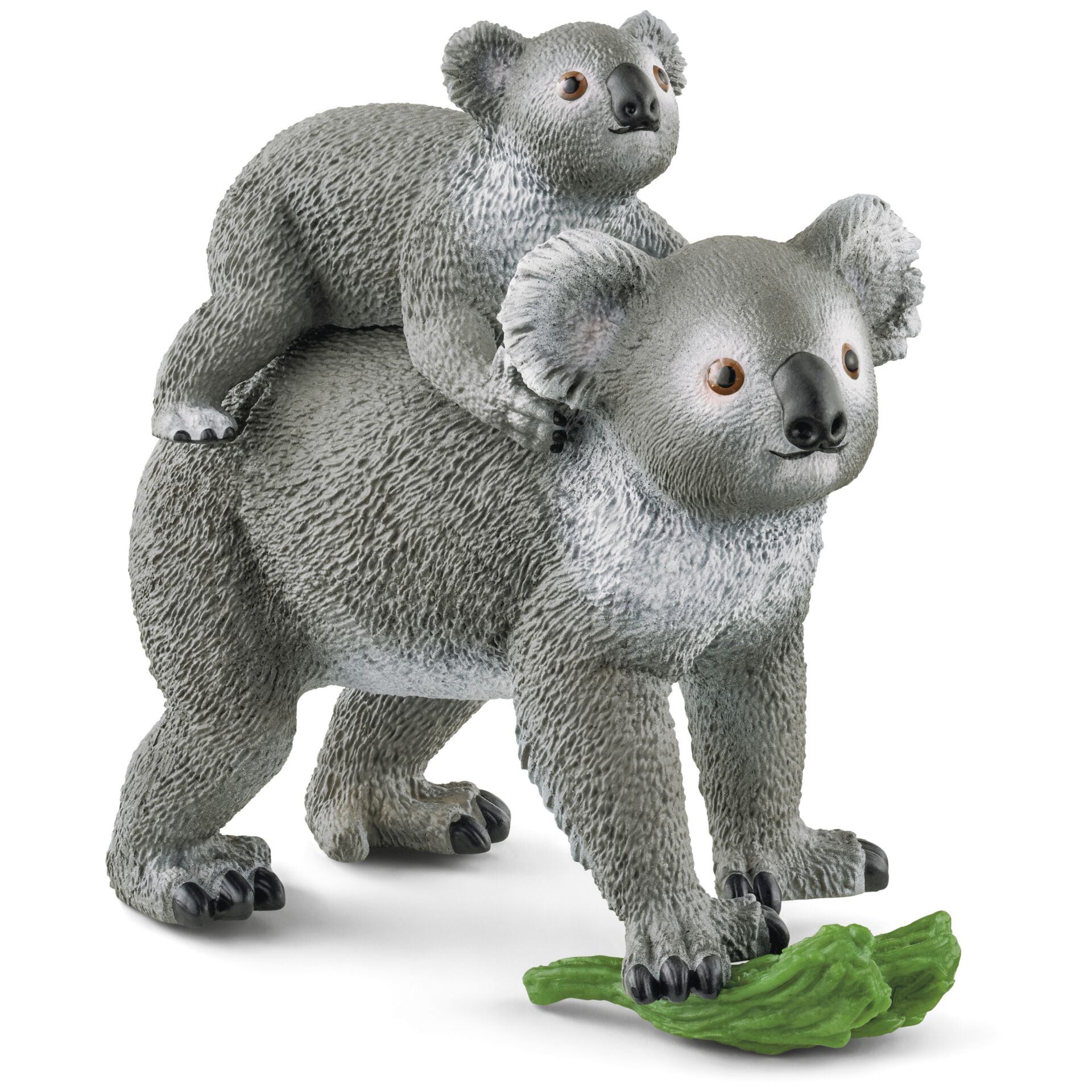 Tier, Bär, Säugetier, Tierwelt