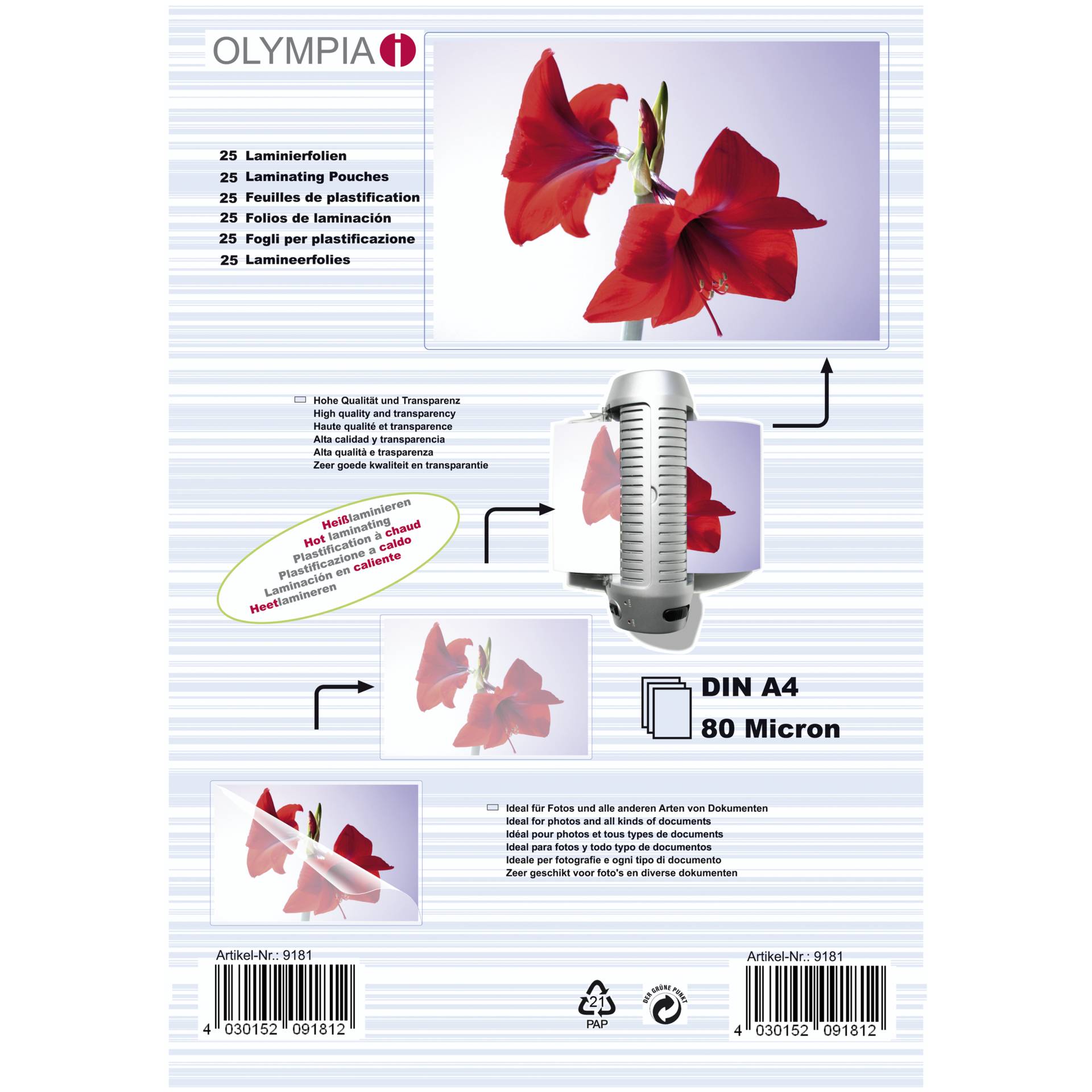 Blume, Blütenblatt, Pflanze