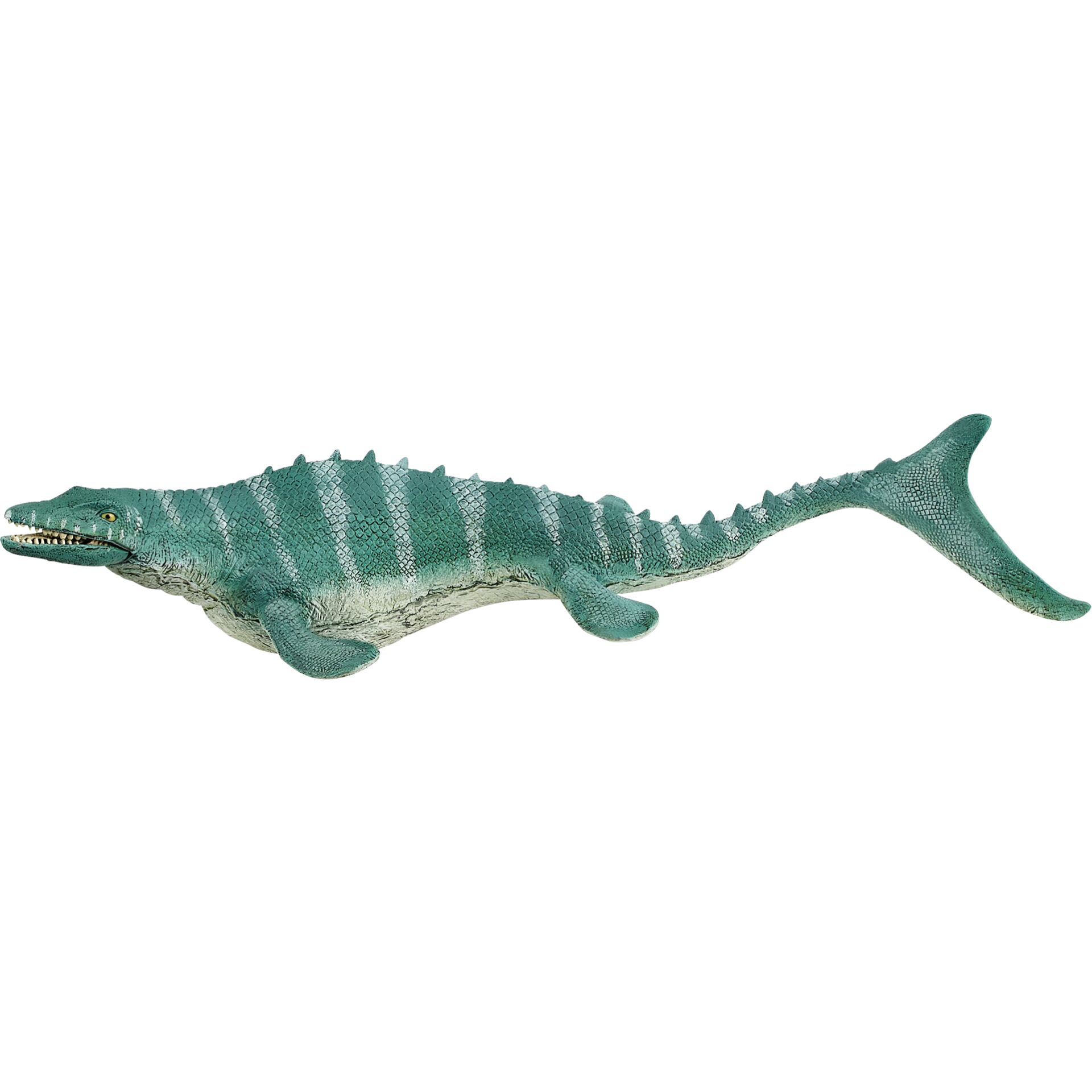 Tier, Echse, Reptil