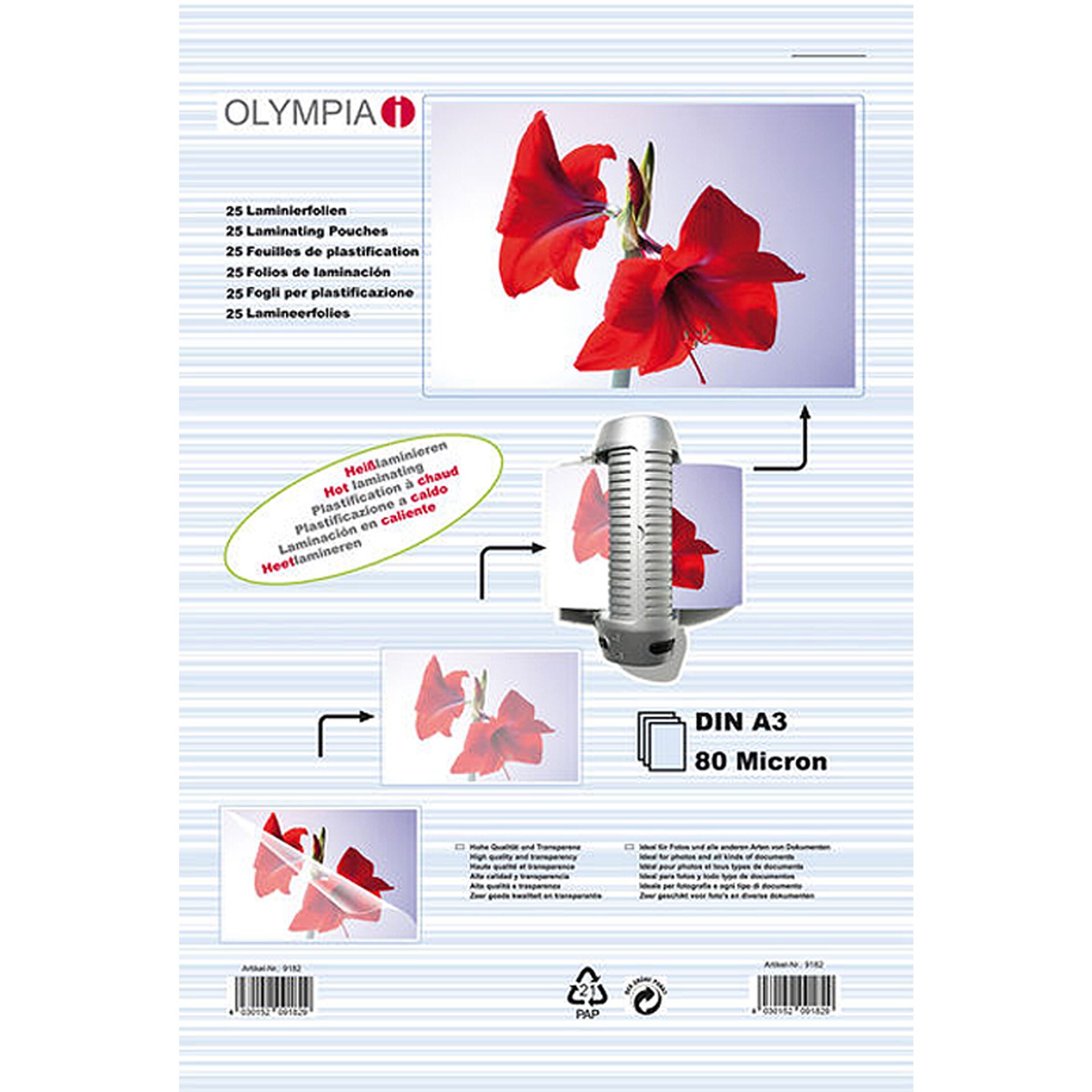 Blume, Blütenblatt, Pflanze