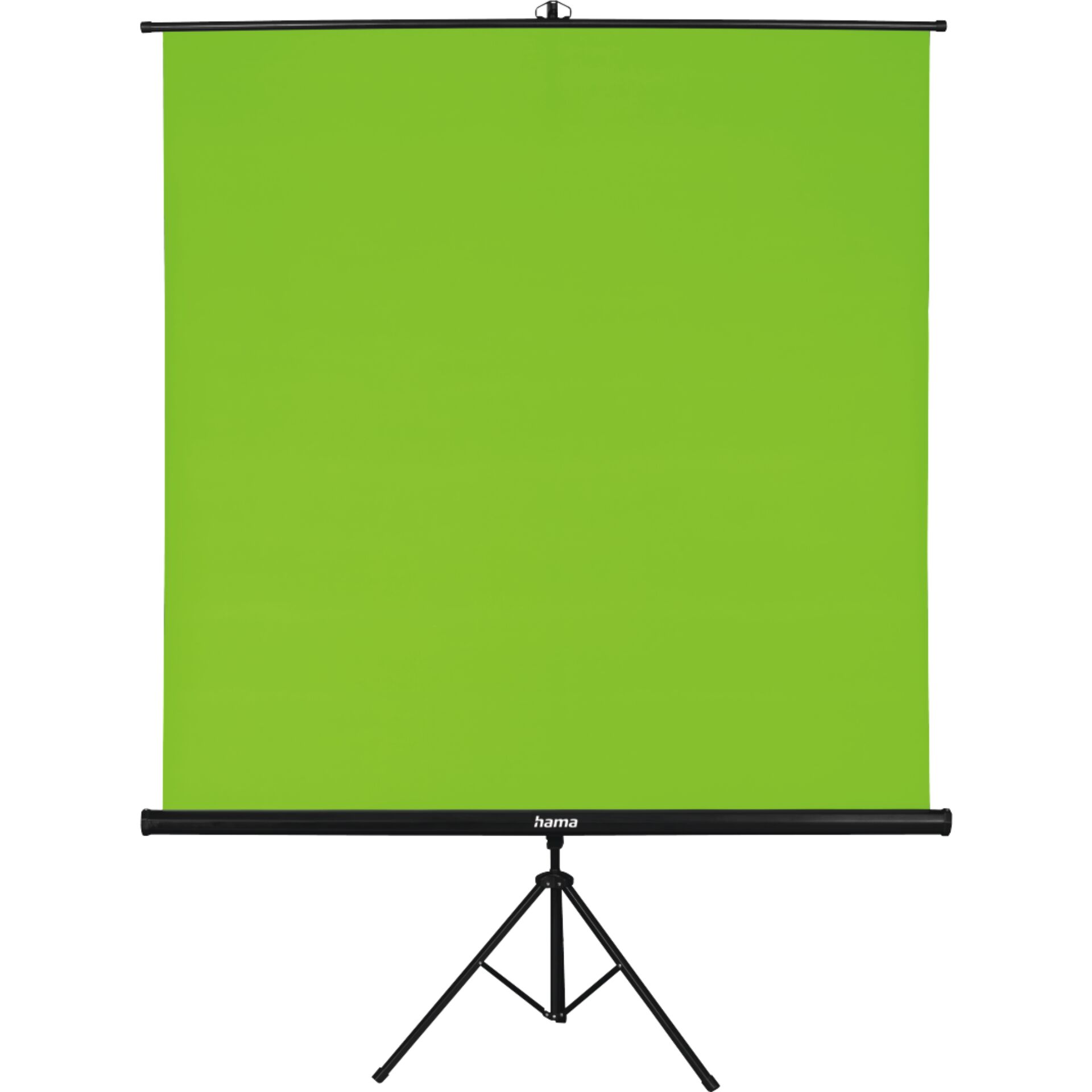 Elektronik, Projektionsfläche, Bildschirm