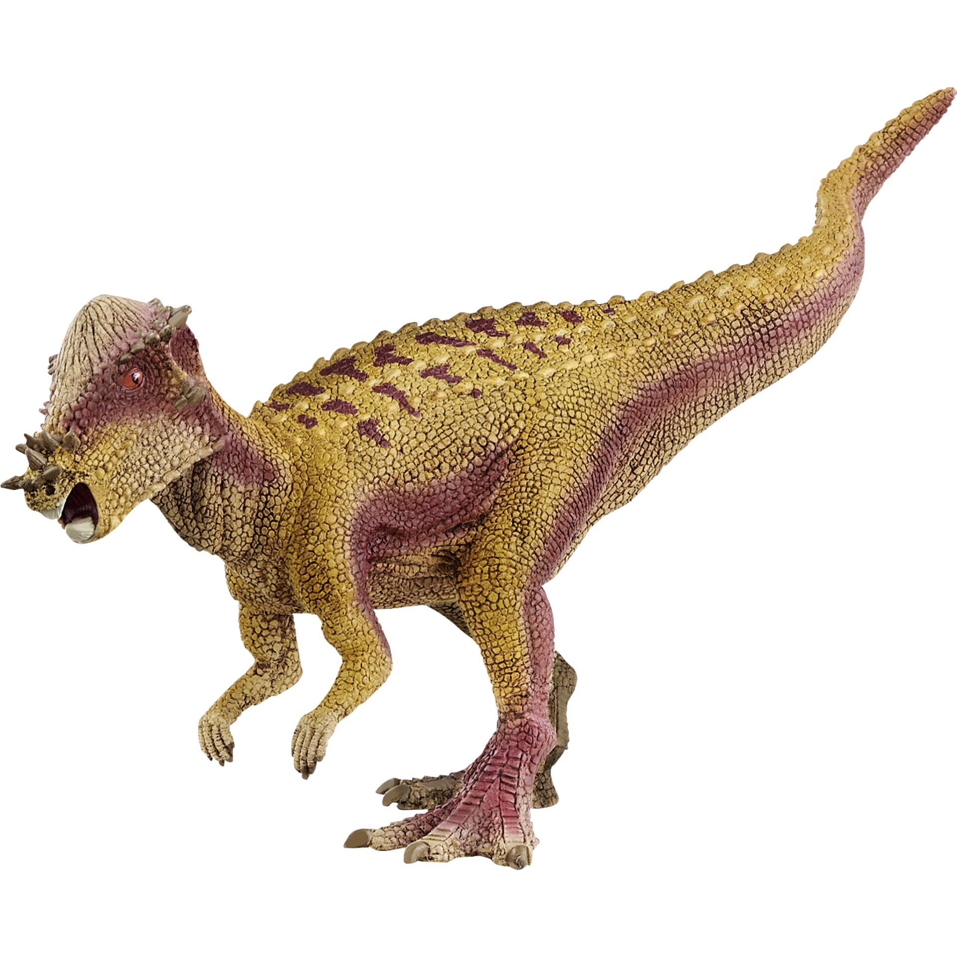 Tier, Dinosaurier, Reptil, T-Rex