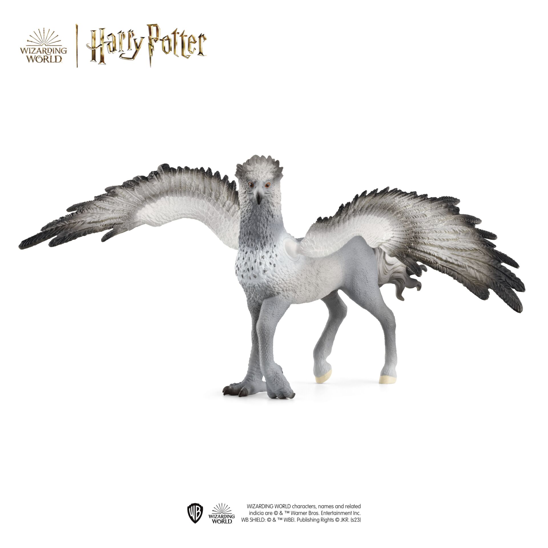 Tier, Vogel, Schnabel, Möwe, Wasservögel