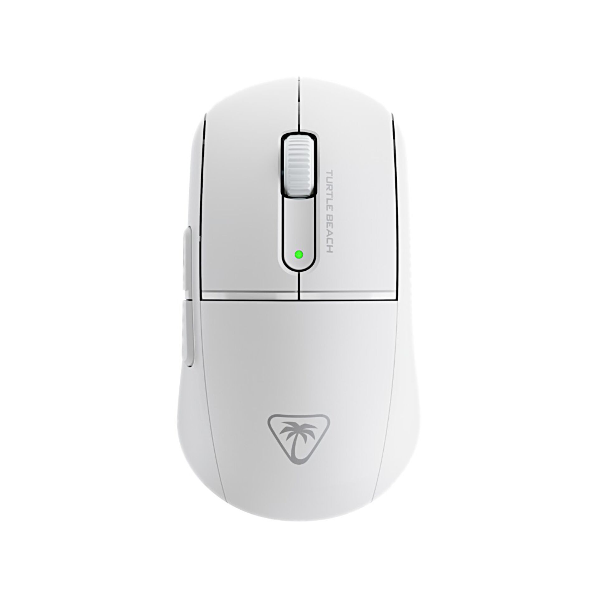 Computerausrüstung, Elektronik, Hardware, Maus