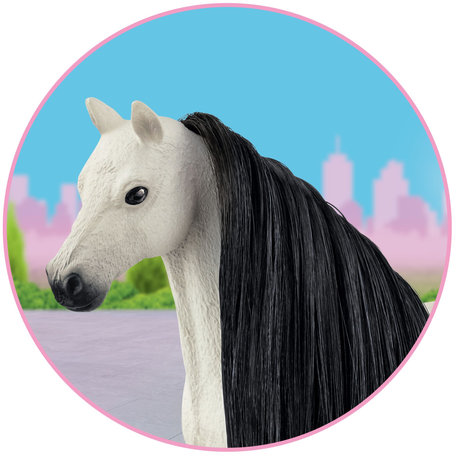 Tier, Colt Horse, Pferd, Säugetier