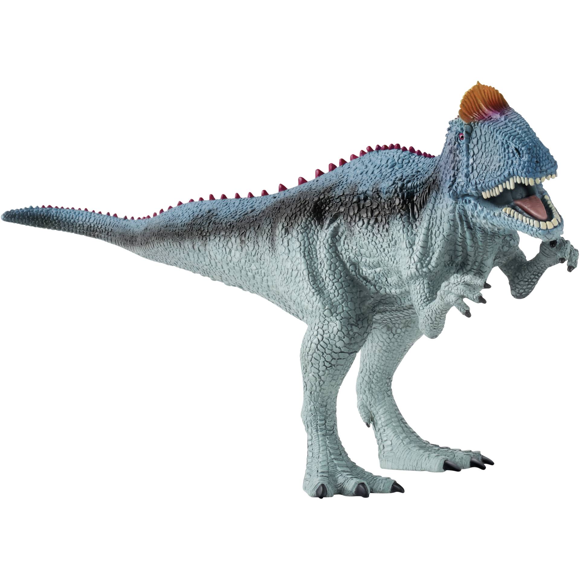 Tier, Dinosaurier, Reptil, T-Rex