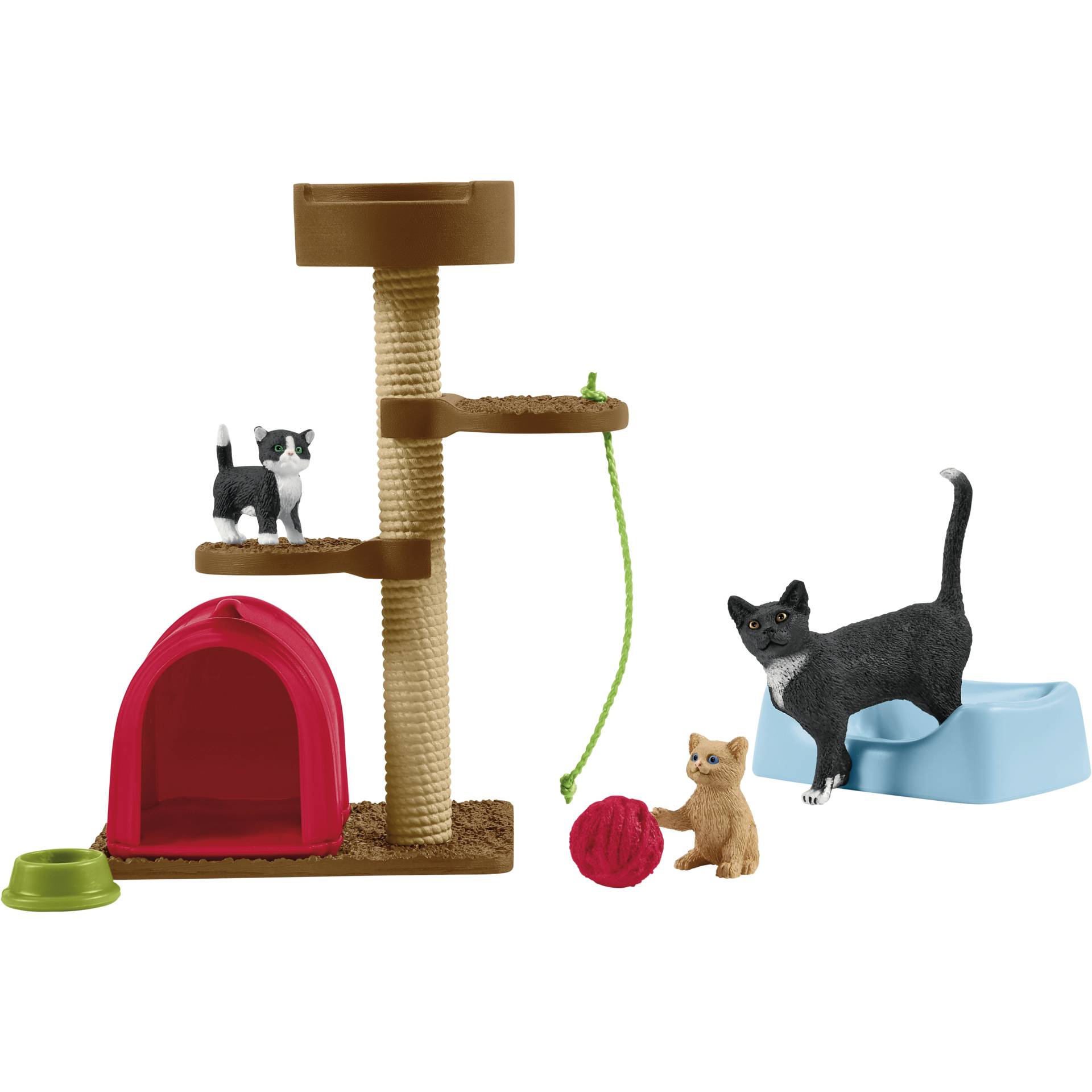 Drinnen, Katze, Haustier, Bär, Tierwelt