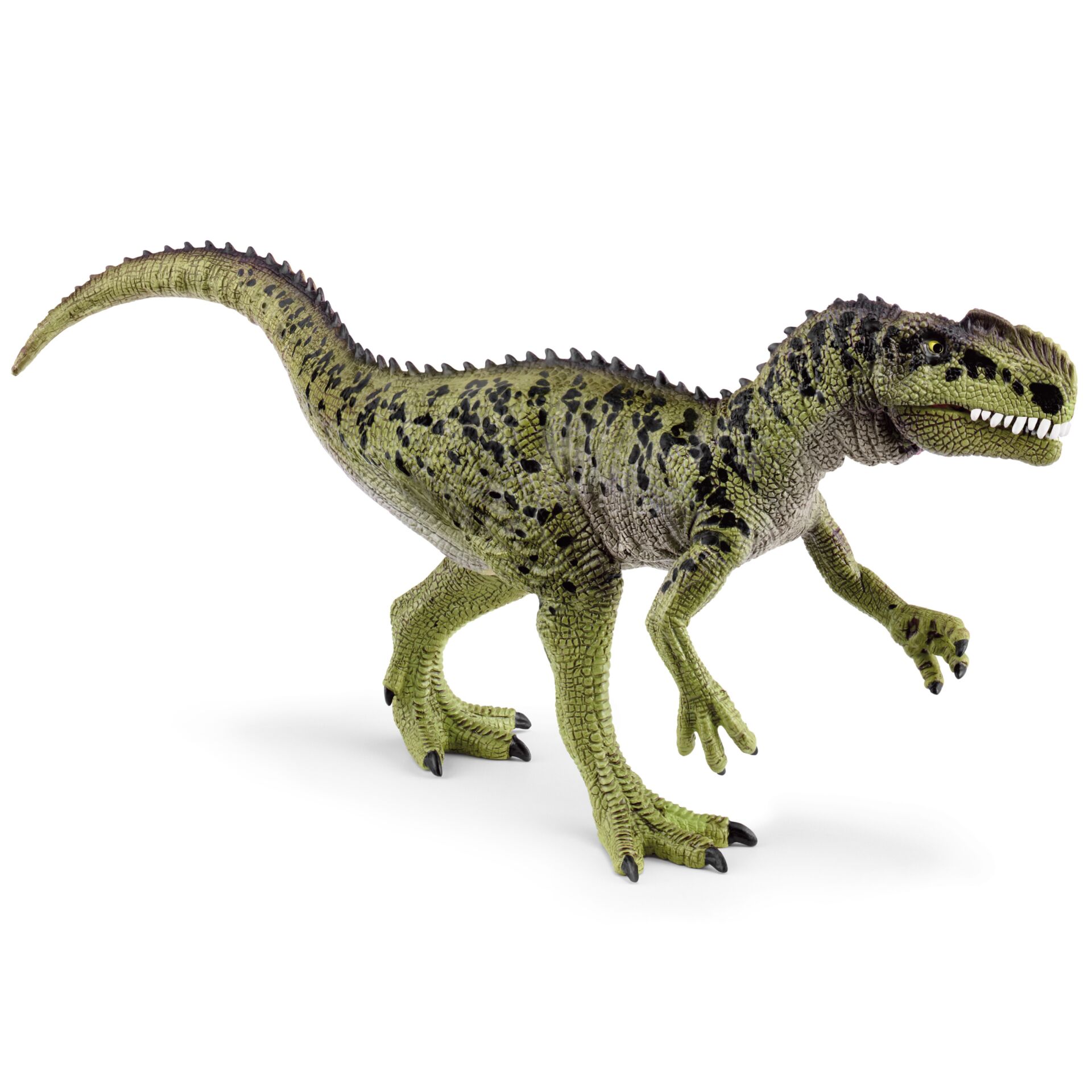 Tier, Dinosaurier, Reptil, T-Rex