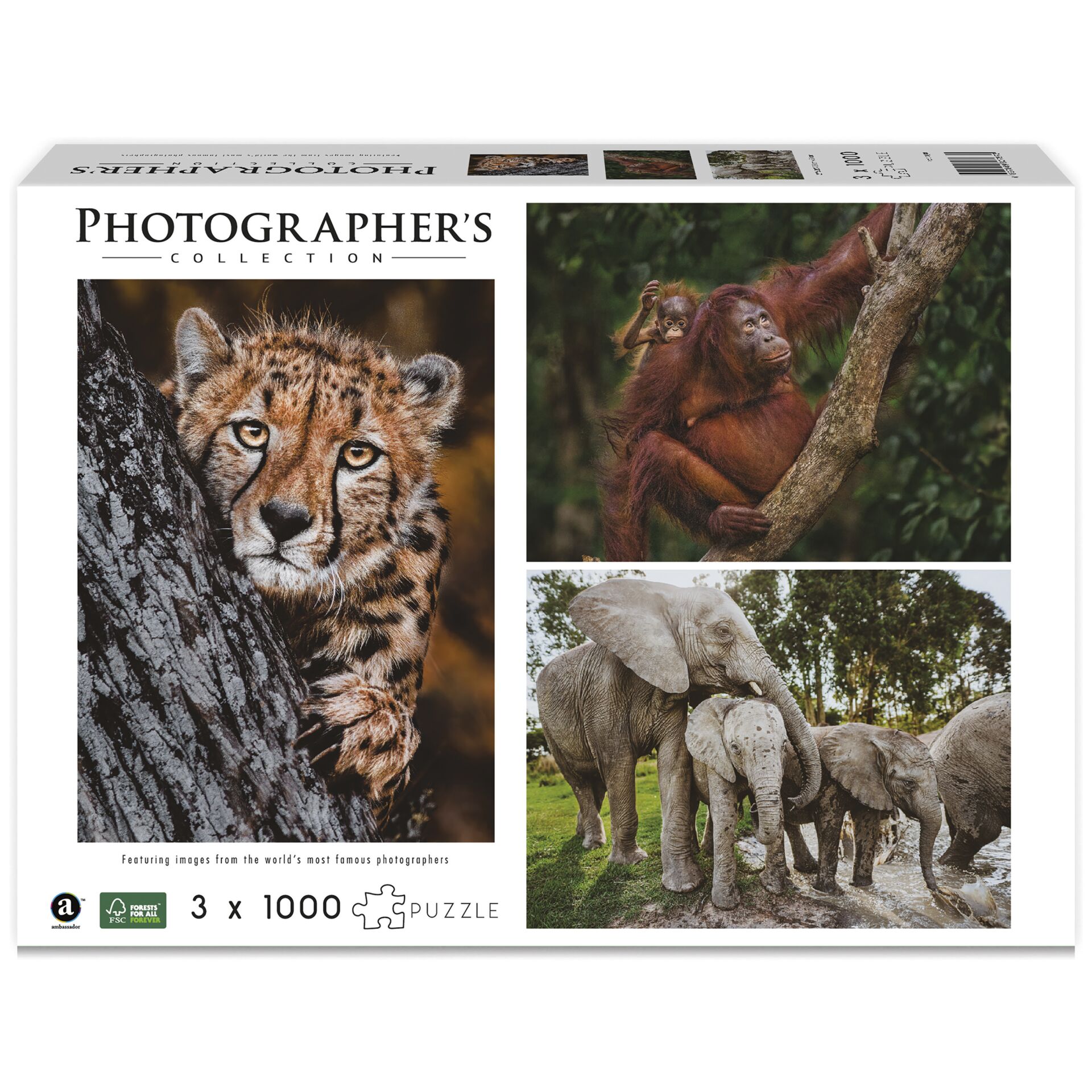 Tier, Zoo, Affe, Wildtiere, Elefant
