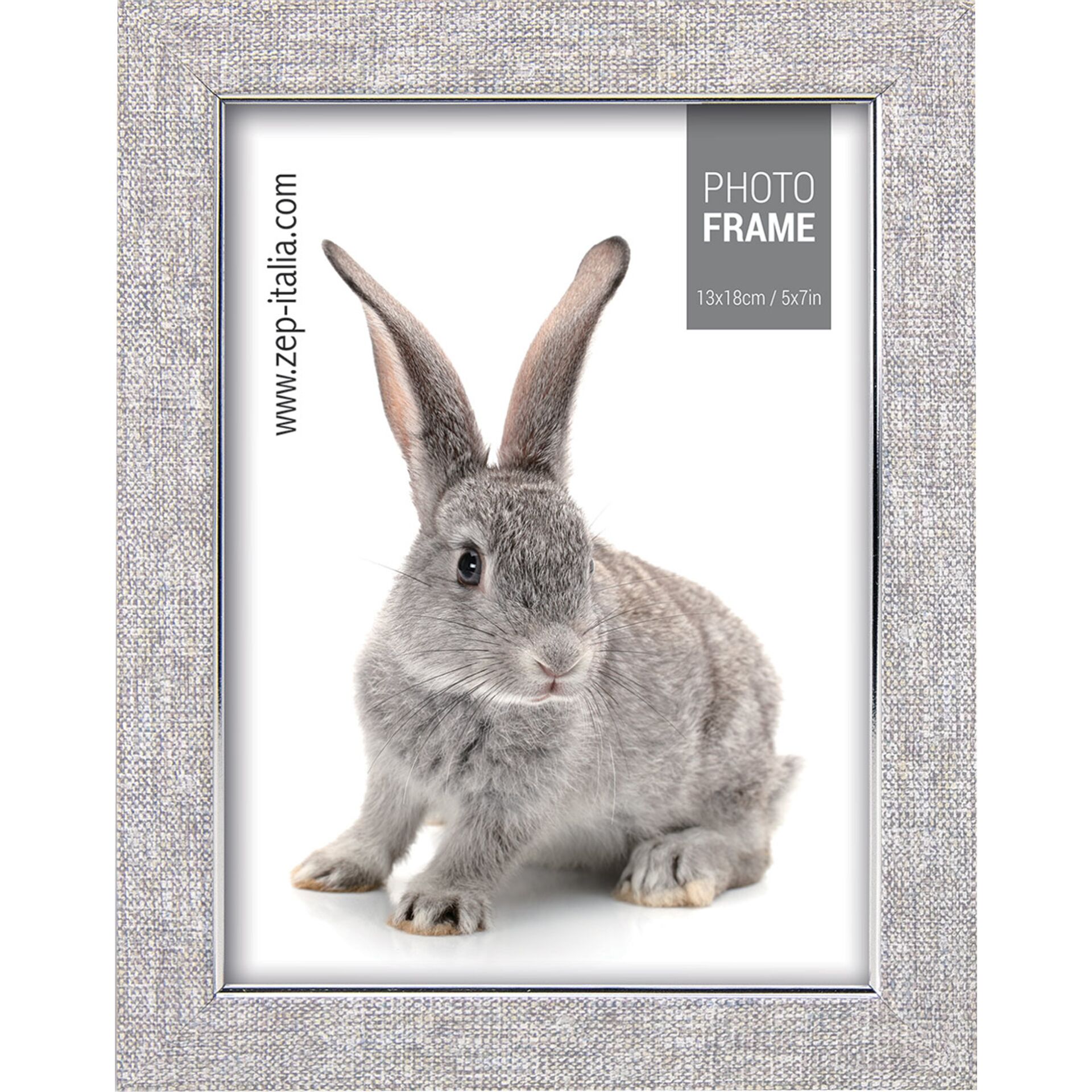 Tier, Säugetier, Ratte, Nagetier, Hase
