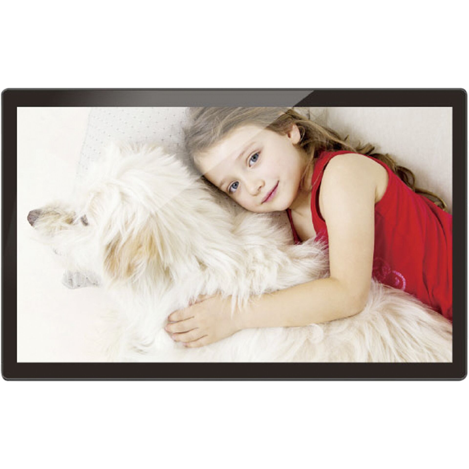 Person, Photographie, Portrait, Hund, Dekoration für Zuhause