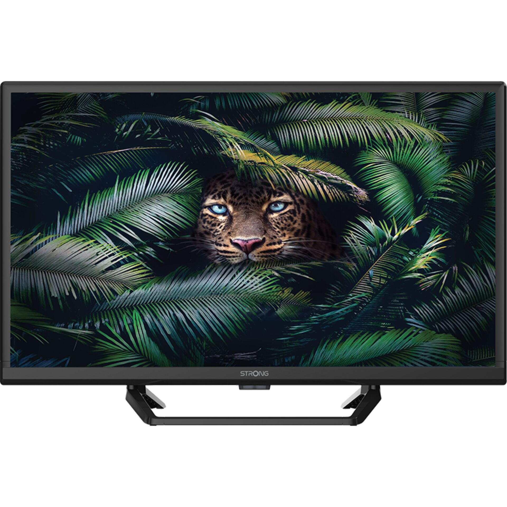 Computerausrüstung, Überwachen, Bildschirm, FERNSEHER