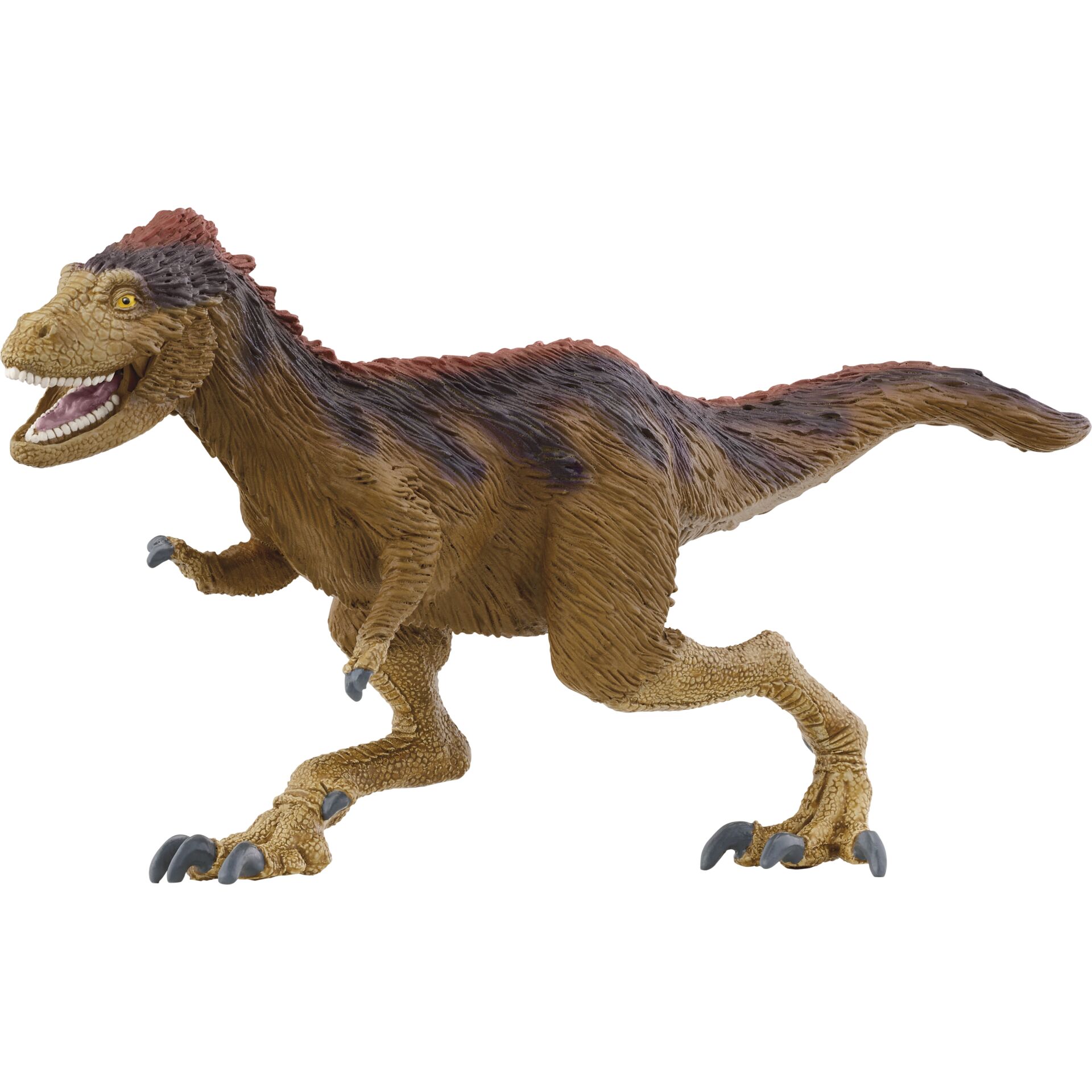 Tier, Dinosaurier, Reptil, T-Rex