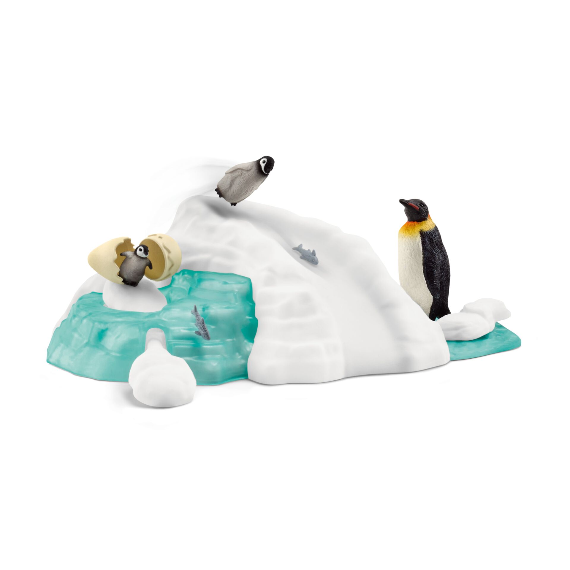 Tier, Vogel, Pinguin, Draußen, Natur
