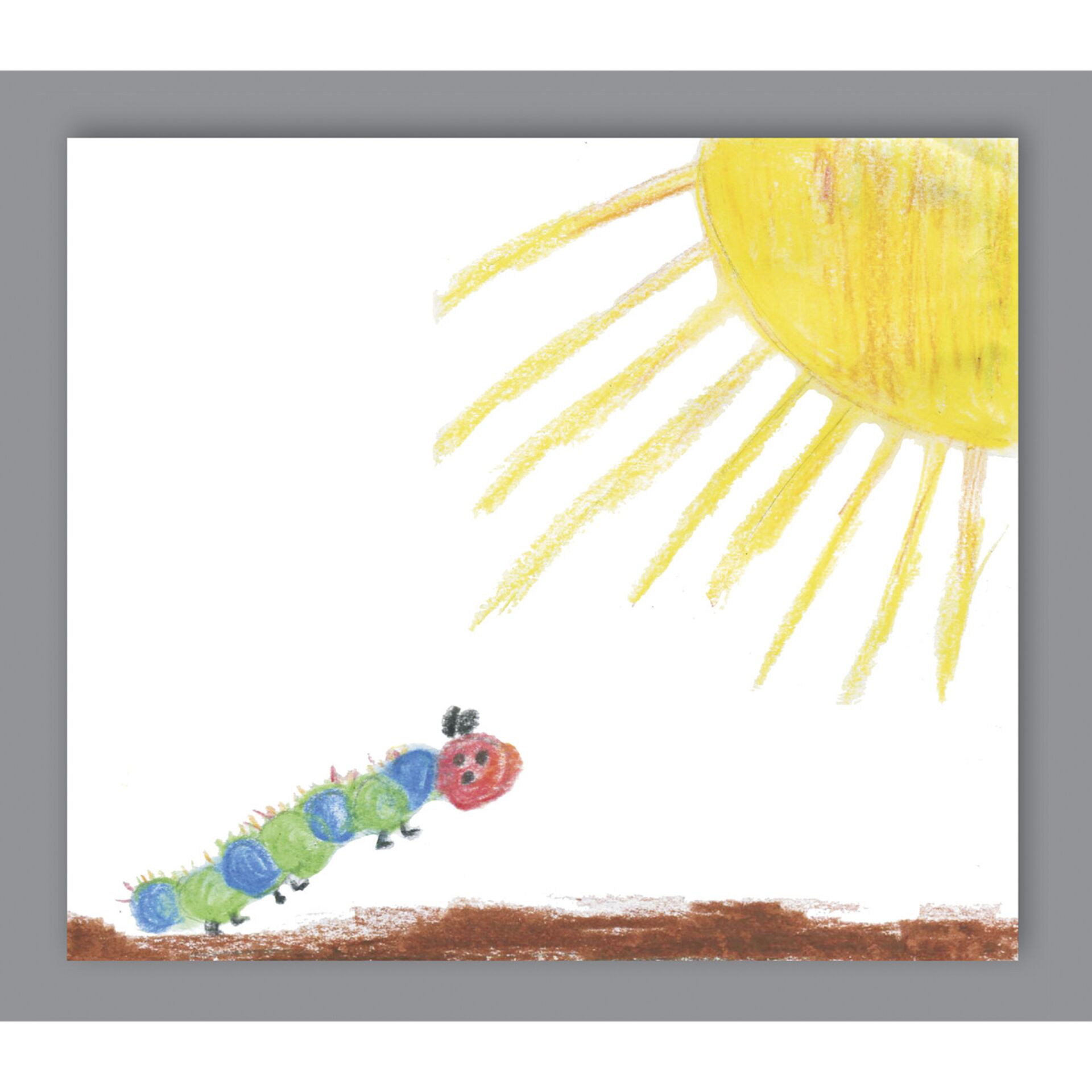 1x25 Daiber Raupe/Schmetterling  13x18cm Kinder Portraitmappen